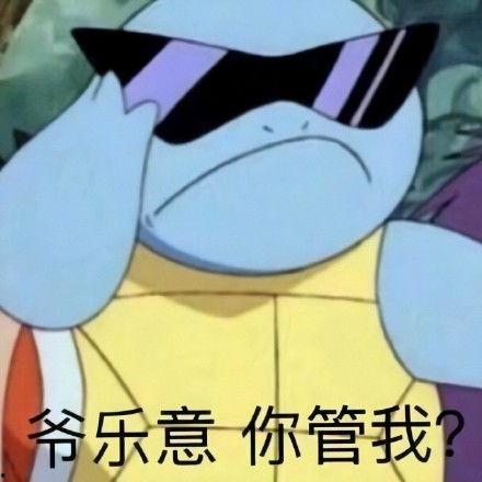 龟龟吃瓜表情包,萌态可掬，笑点满满