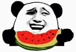 姐迷死你吃瓜群众,揭秘网络红人吃瓜群众的疯狂追星现象