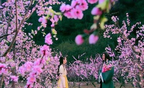 郭靖牛家村疗伤吃瓜,郭靖吃瓜解忧，江湖情谊再续