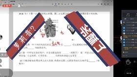 盘点罗丽在线吃瓜,娱乐圈幕后趣闻大揭秘