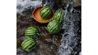 吃瓜cn.,网络热点的幕后故事