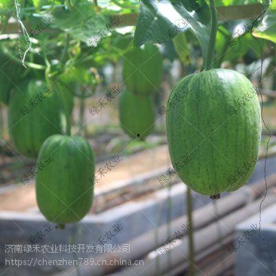 苹果吃瓜应用,轻松掌握娱乐圈动态，畅享娱乐资讯盛宴