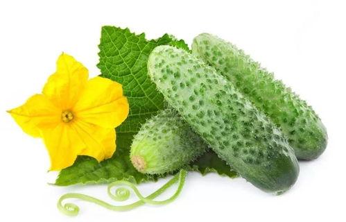 吃瓜系统系列合集,揭秘娱乐圈背后的秘密与笑料