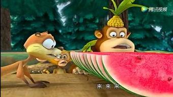 宠物吃瓜搞笑视频,笑料横生的欢乐时光