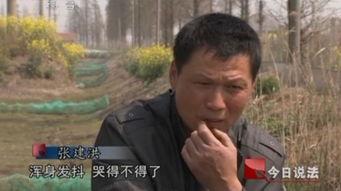 吃瓜朝阳群众台北娜娜,吃瓜朝阳群众的热议焦点