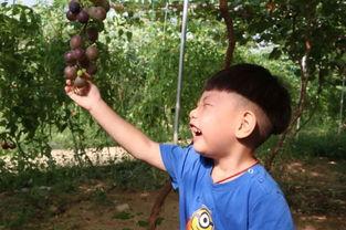 李翔吃瓜,揭秘娱乐圈幕后故事