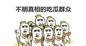 胖梦队友吃瓜,揭秘娱乐圈幕后故事