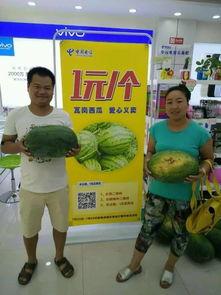 吃瓜驻马店,吃瓜群众的美食之旅