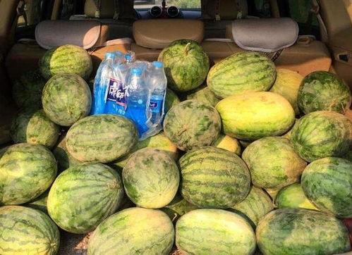 赶集买瓜吃,品味生活乐趣