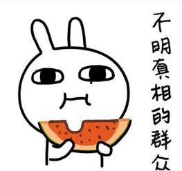 搞笑吃瓜群名称,揭秘搞笑吃瓜群背后的欢乐盛宴