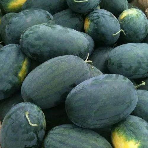 吃瓜色图,揭秘吃瓜色图背后的故事与真相