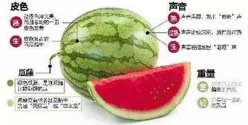 吃瓜 入口微信,微信带你领略瓜界风云