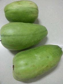 卖蛤蟆吃瓜,一场别开生面的卖蛤蟆吃瓜奇遇记