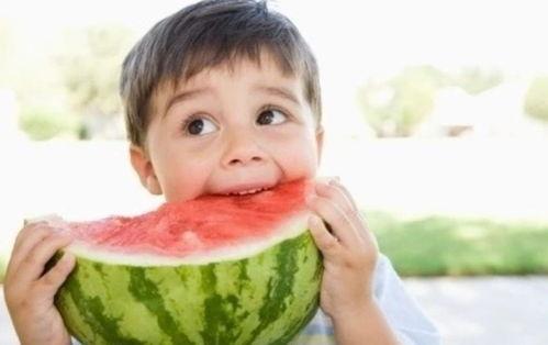 吃瓜同时练法语,轻松练就流利法语