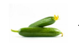 刺瓜儿童可以吃吗,安全与营养并重