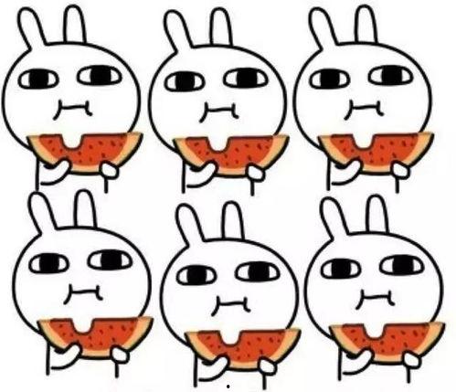 吃瓜能噎住吗,揭秘意外食事中的惊险瞬间