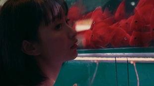 吃瓜少女持续在线观看,揭秘娱乐圈幕后风云