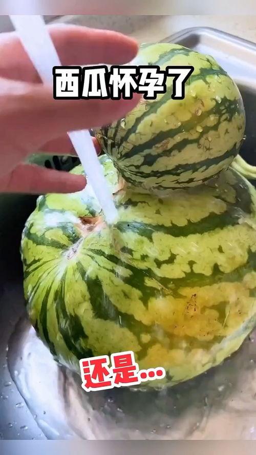 酒店吃瓜搞笑,笑料百出，欢乐无限