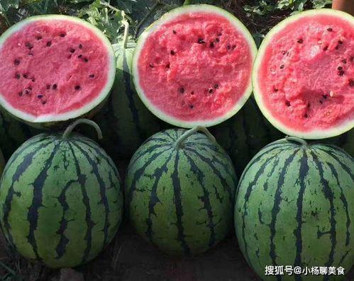 吃瓜在线全文,揭秘娱乐圈幕后真相，带你走进明星生活