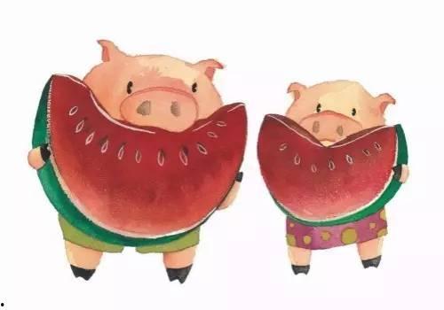 吃瓜跟猪,吃瓜群众与猪的奇妙邂逅