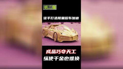 布加迪吃瓜群众