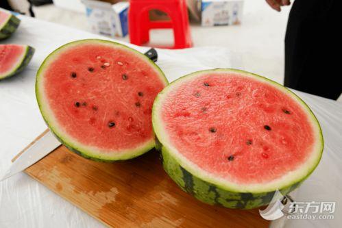 上海吃瓜的视频,一窥魔都生活百态