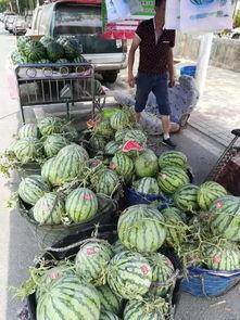 南宁体专吃瓜事件,揭秘校园风波背后的真相