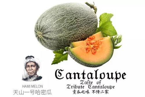 吃瓜的压力有多强,揭秘吃瓜群众的内心挣扎