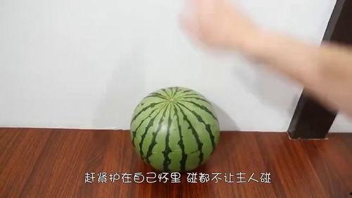 吃瓜的速度,揭秘娱乐圈那些事儿