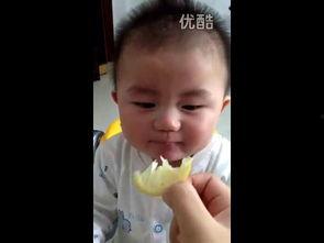 小萌瓜吃柠檬,甜蜜滋味与挑战并存