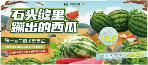 每日吃瓜大赛网站,揭秘娱乐圈幕后风云，带你领略明星们的真实生活